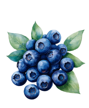 Blueberries