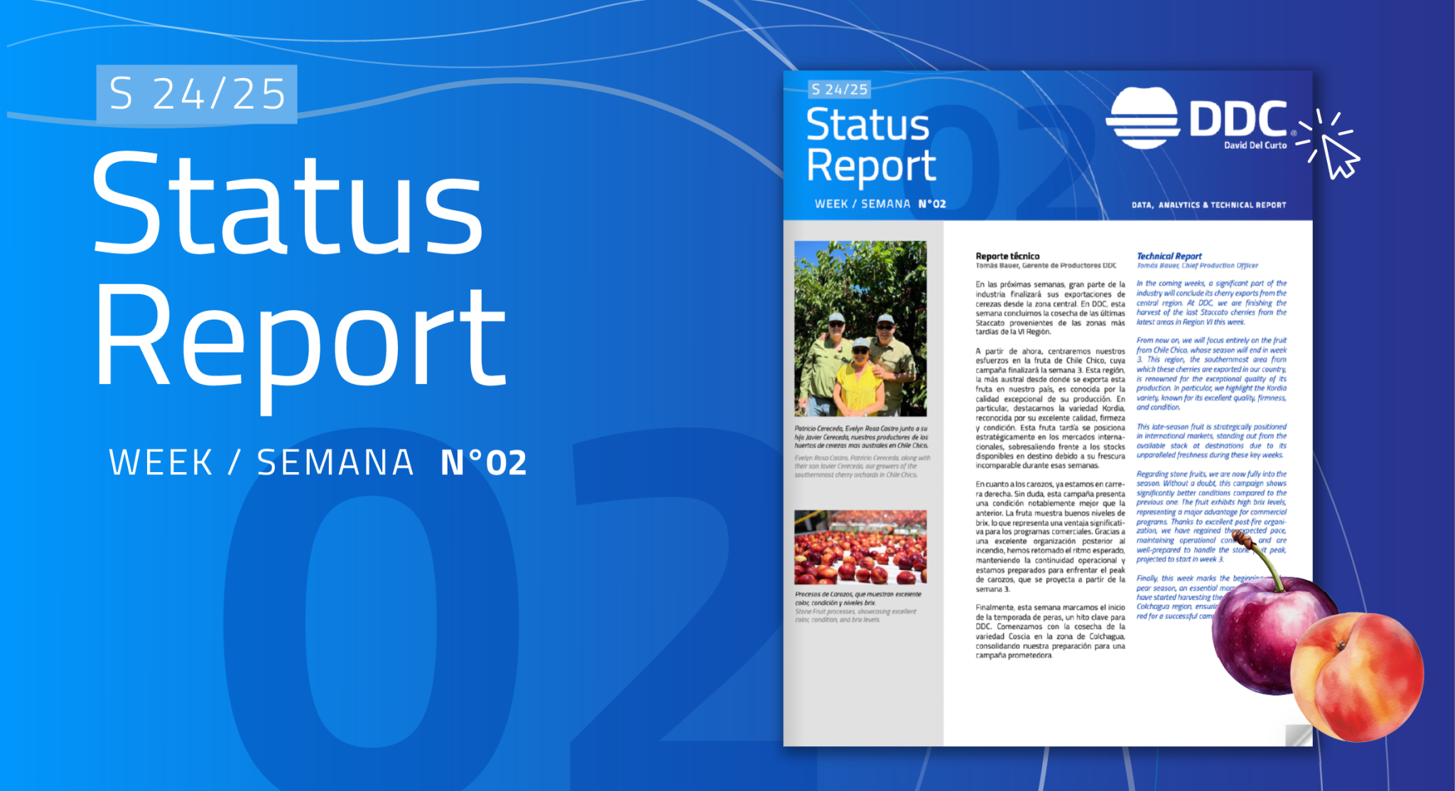 New Edition: Status Report – Week 02 - David Del Curto | Líder en el ...