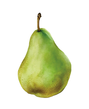 Pears